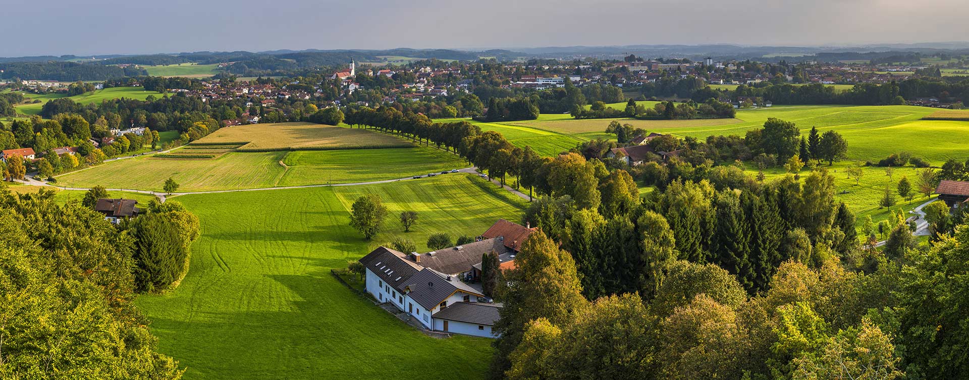 Haszonélvezet